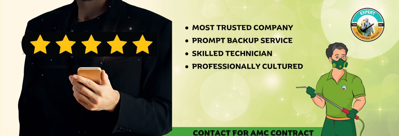 Untitled design - 2024-04-27T172149.648